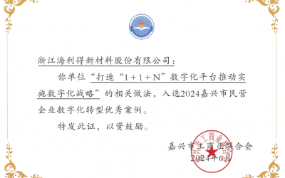 公司入選2024嘉興市民營(yíng)企業(yè)數(shù)字化轉(zhuǎn)型優(yōu)秀案例